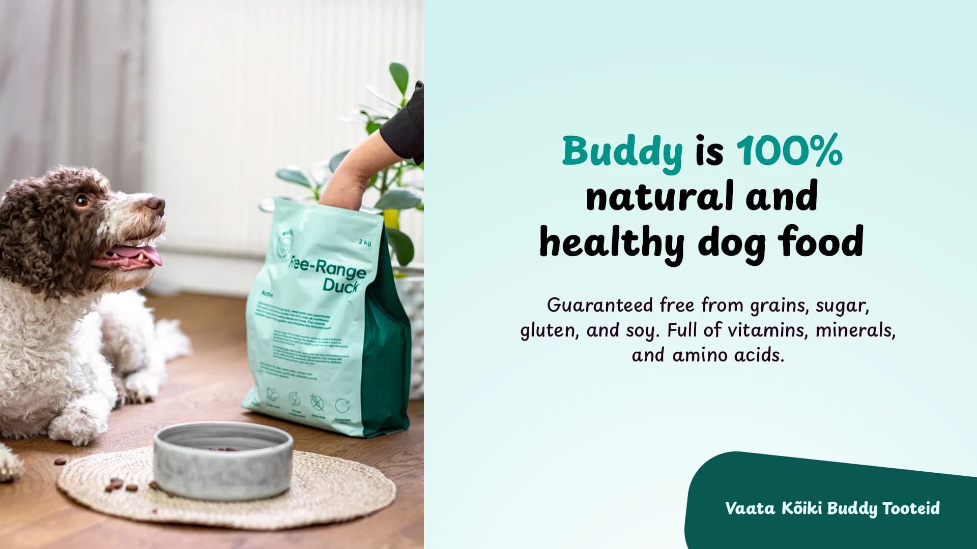 Buddy products, dog food